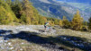 Varneralp_11_3_032