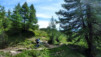 Varneralp_12_1_010