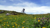 Varneralp_12_1_018