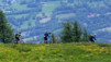 Varneralp_12_1_022
