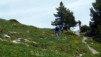 Varneralp_12_1_023