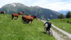 Varneralp_12_1_030