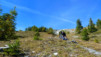 Varneralp_12_2_033