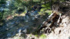 Varneralp_12_2_038