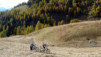Varneralp_12_3_005