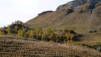 Varneralp_12_3_006