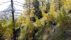 Varneralp_12_3_010