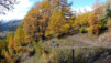 Varneralp_12_3_013