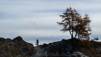 Varneralp_12_3_016