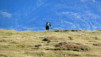 Varneralp_12_3_024