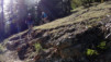 Varneralp_12_3_036