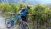 Varneralp_12_3_042