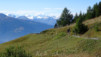 Varneralp_13_II_001