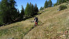 Varneralp_13_II_015