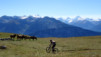Varneralp_13_II_022