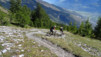Varneralp_13_II_035