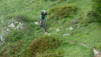 Varneralp_2013_1_010