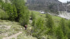 Varneralp_2013_1_013