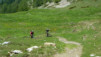 Varneralp_2013_1_015