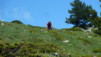 Varneralp_2013_1_033
