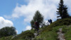 Varneralp_2013_1_034
