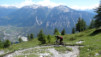 Varneralp_2013_1_037
