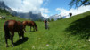 Varneralp_2013_1_043