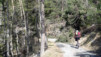 Varnerwald_002