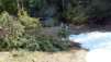 Varnerwald_003
