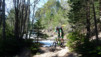 Varnerwald_004