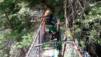 Varnerwald_020
