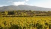 Ventoux11_03