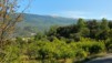 Ventoux11_04
