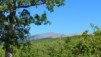 Ventoux11_10