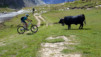 Wildstrubelhuette_2_026