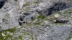 Wildstrubelhutte_042