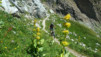 Wildstrubelhutte_13_040