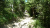 Wildstrubelhutte_13_049