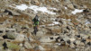 aletsch_14_012