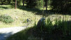 alpe_di_viou_002