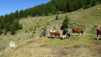 alpe_di_viou_005
