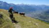 alpe_di_viou_011
