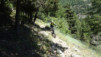 alpe_di_viou_022