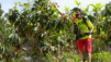 altea_casa_dios_xirles_019