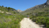 altea_chamo_benidorm_001