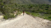 altea_chamo_benidorm_002