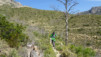 altea_chamo_benidorm_010
