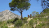 altea_chamo_benidorm_013