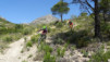 altea_chamo_benidorm_014