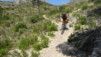 altea_chamo_benidorm_015